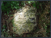 Photograph of: Jewish cemetery in Rakov.