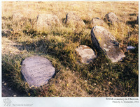 Photograph of: Jewish cemetery in Cherven' (Igumen).