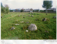 Photograph of: Jewish cemetery in Cherven' (Igumen).