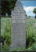 Photograph of: Jewish cemetery in Borisov, Belarus.
