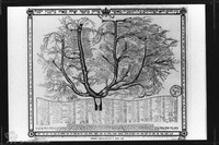 Photograph of: Family Tree of the Ba'al Shem Tov.