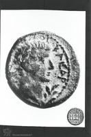 Photograph of: Coins of Philip.