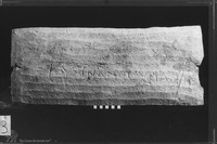 Photograph of: Ossuary lid.