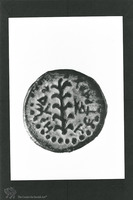 Photograph of: Coins of Herod Antipas : Obverse Half denomination, Galilee, Tiberias.