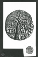 Photograph of: Herod Antipas's Coins : Obverse.