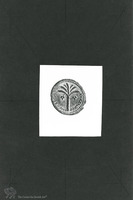 Photograph of: Coins of the Roman Administration : Obverse, Caesarea Maritima.