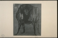 Photograph of: Baskin, Love me, love my dog.