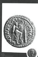 Photograph of: Judea-Capta Coins : Reverse.