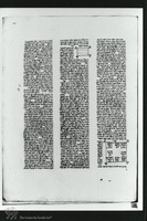 Photograph of: Vatican SeMaG : fol 189.