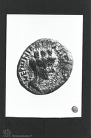 Photograph of: Coins of Agrippa II : Obverse.