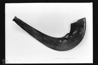 Photograph of: Shofar.