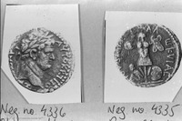 Photograph of: Judea Capta coins : Reverse.