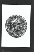 Photograph of: Coins of Agrippa I.