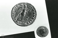 Photograph of: Judea Capta coins : Reverse.