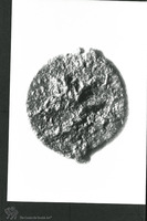 Photograph of: Coins of the Jewish war (?).