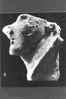 Photograph of: Beth Shearim, A marble fragment of a human figure�s head.