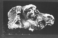Photograph of: Beth Shearim, a marble fragment of a human figure.