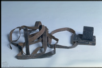 Photograph of: Tefillin.
