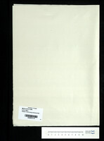 Petach Tikva song (manuscript) : for orchestra.