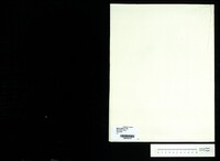Serenade : for orchestra (manuscript).