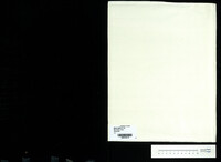 Serenade : for orchestra (manuscript).