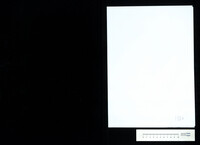 Notturno : for string orchestra (manuscript).