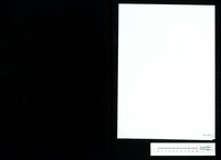 Notturno : for string orchestra (manuscript).