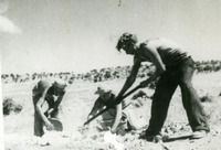 תמונות מהקמת יפתח.