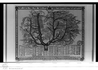 Photograph of: Family Tree of the Ba'al Shem Tov.