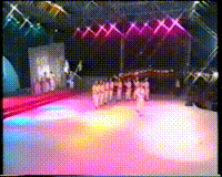 The Dalyat el Carmel Dance Group, Israel .[videorecording].
