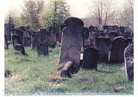 Photograph of: Jewish cemetery in Szydłowiec.
