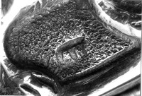 Photograph of: Miscellaneous objects : Hallmarks.