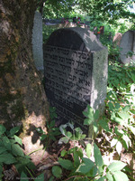 Photograph of: Jewish cemetery in Smolensk.
