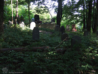 Photograph of: Jewish cemetery in Smolensk.