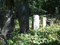 Photograph of: Jewish cemetery in Smolensk.