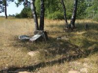 Photograph of: Jewish cemetery in Petrovichi.