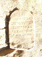 Photograph of: Jewish cemetery in Petrovichi.