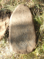 Photograph of: Jewish cemetery in Petrovichi.