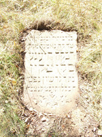 Photograph of: Jewish cemetery in Petrovichi.