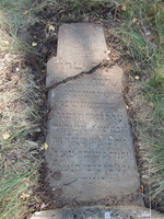 Photograph of: Jewish cemetery in Petrovichi.