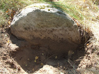 Photograph of: Jewish cemetery in Petrovichi.