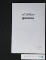 Lettre du Général Kleber au Général Menou.