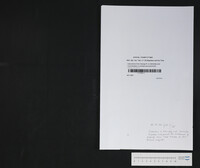 Instructions from George R. to Admiralty and Commanders, to protect and permit the withdrawal of property from West Florida of four British subjects.