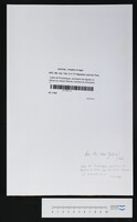 Lettre de Poussielgue, secrétaire de légation à Gênes au citoyen Barras, membre du Directoire Éxecutif, Paris.
