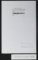 Lettre du général Damas au général de brigade Donzelot.