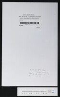 Lettre du général Kléber au général de division Dumuy.
