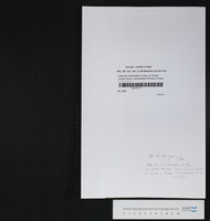 Lettre de l'ordonnateur Le Roy, au Contre Amiral Vence, Commandant d'Armes à Toulon.