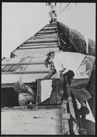 The first Israeli train arrives in Jerusalem carrying a large number of books salvaged from local Jewish libraries in Poland, for the Jewish National & University Library.