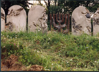 Photograph of: New Jewish cemetery in Lublin.