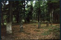 Photograph of: Jewish cemetery in Bederkesa.